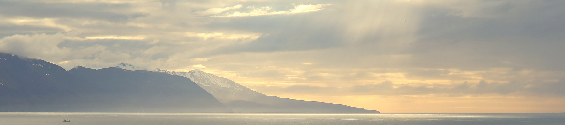 Header afbeelding