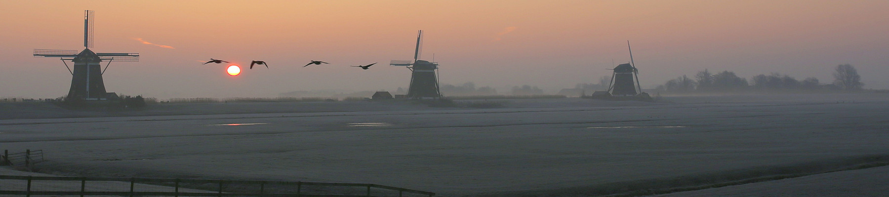 Header afbeelding