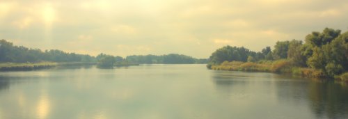 30060_biesbosch_drimmelen