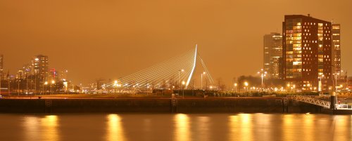 60140_erasmusbrug_rotterdam