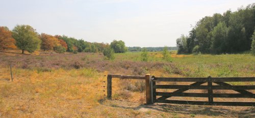 Landschappen