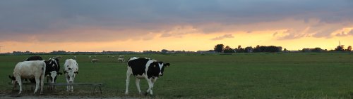 30601_raard_friesland