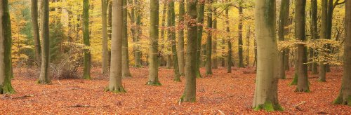 40670_speulderbos_ermelo