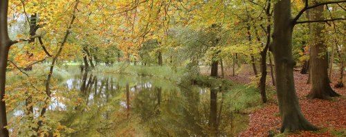 40790_utrechtse-heuvelrug_doorn