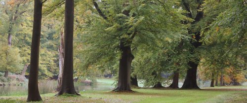 40791_utrechtse-heuvelrug_doorn