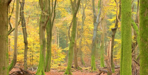 40668_speuld_ermelo