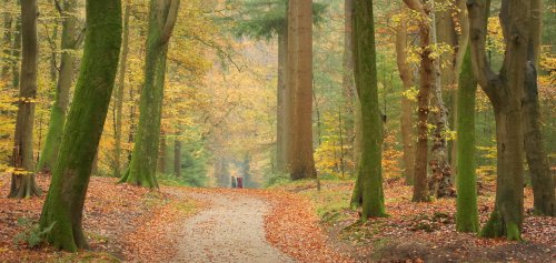 40671_speulderbos_ermelo