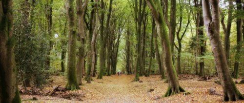 40667_speuld_ermelo