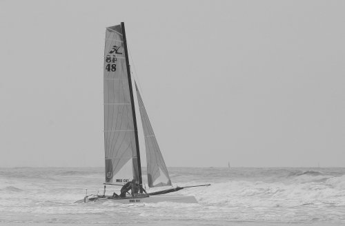 50090_catamaran_wasenaar