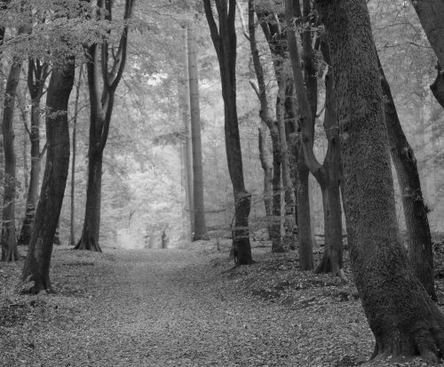 50666_speulderbos_drie