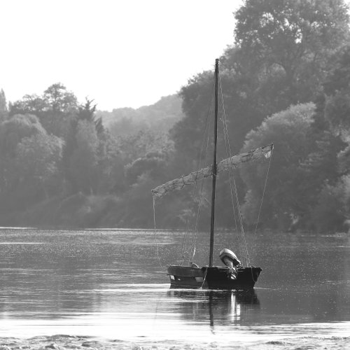 50430_loire_frankrijk