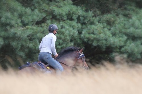 60210_galop-in-stilte