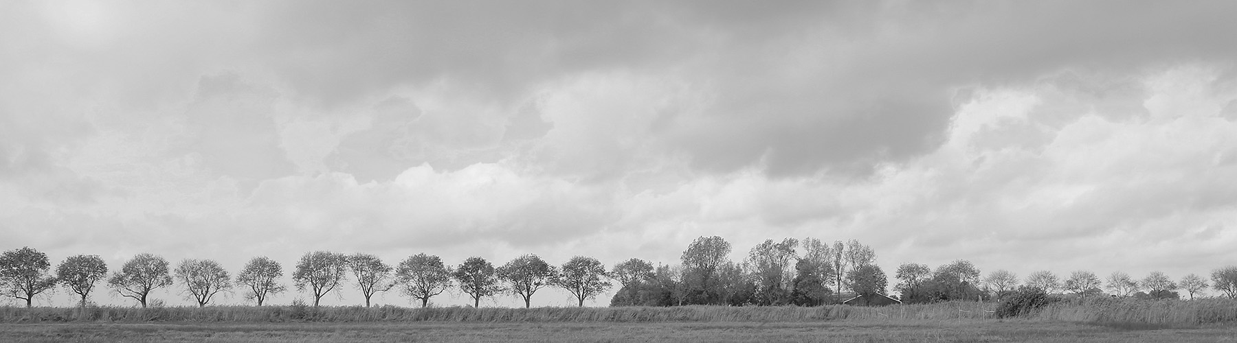zwart-wit